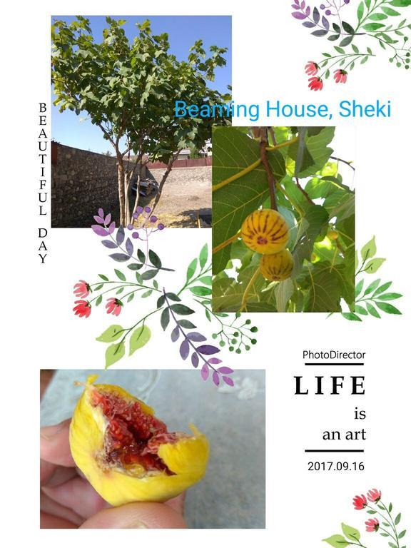 Hotel Beaming_House Şǝki Esterno foto
